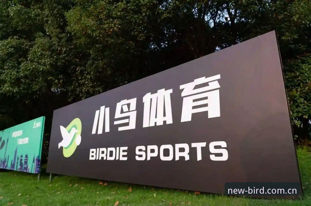 深度揭秘：小鸟体育V3赛事数据下载背后的高效使用技巧