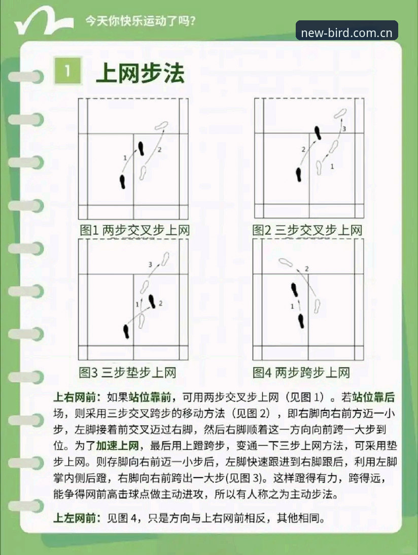 小鸟体育怎么登录 **资深用户赵挺分享:小鸟体育怎么登录?五年实战经验全解析**