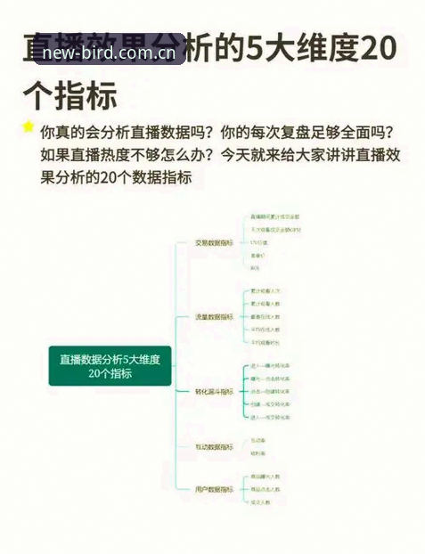 小鸟体育赛事直播安装失败 深度揭秘:小鸟体育赛事直播安装失败现象背后的平台升级逻辑