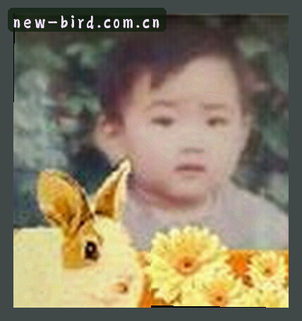 李娜